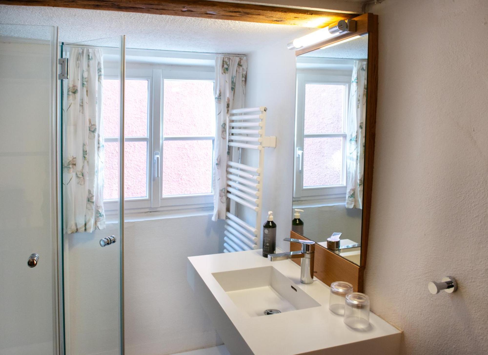 Haus Im Zitronengaessele Daire Lindau  Dış mekan fotoğraf